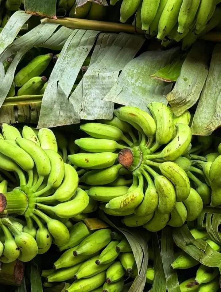 Bananas verdes orgânicas recém-colhidas em uma superfície rústica.